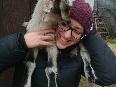 OPG HERCEG SIRANA JAGARKA