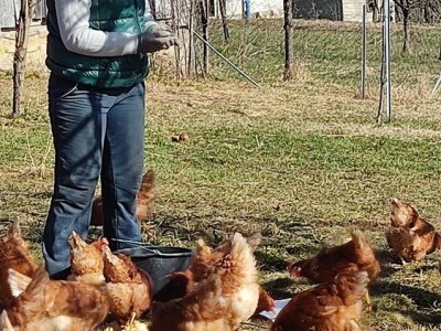 OPG HERCEG SIRANA JAGARKA