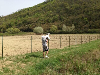 OPG Hero (goji bobice)