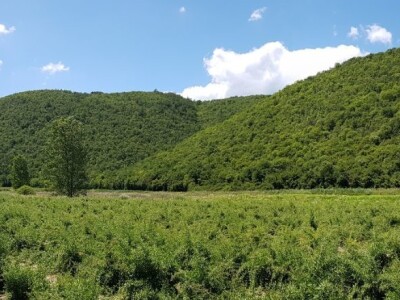 OPG Hero (goji bobice)