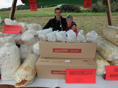 OPG Hrvoić - primjer velikog uspjeha kojem prethodi velik trud i rad