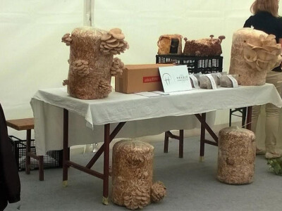 Štand sa izloženim primjercima