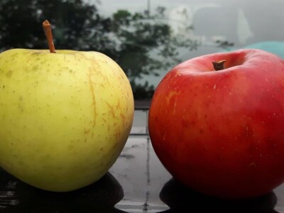 OPG HUNJADI SLIKE OPG HUNJADI SLIKE