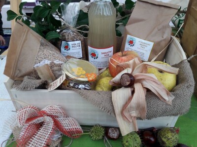 OPG HUNJADI SLIKE OPG HUNJADI SLIKE