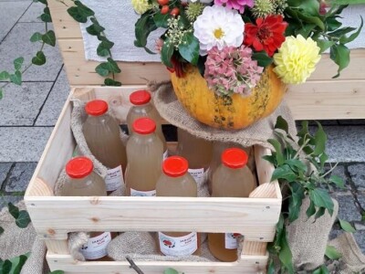 OPG HUNJADI SLIKE OPG HUNJADI SLIKE