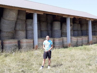 OPG Ilija Dragun  na Udbini ima 100 goveda