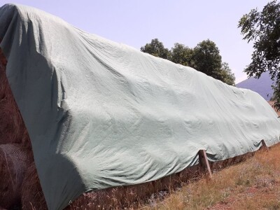 OPG Ilija Dragun  na Udbini ima 100 goveda