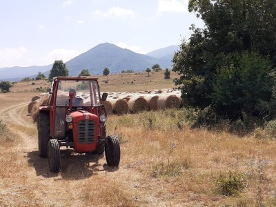 OPG Ilija Dragun  na Udbini ima 100 goveda
