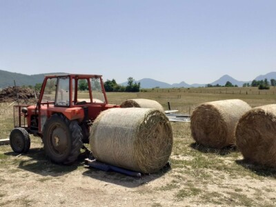 OPG Ilija Dragun  na Udbini ima 100 goveda