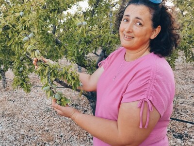 COLIC - TRADE I OPG IVA BULIĆ - Navodnjavani "kraljevi krša" u Korlatu izrastaju u careve