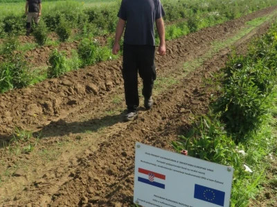 OPG Ivan Čuković