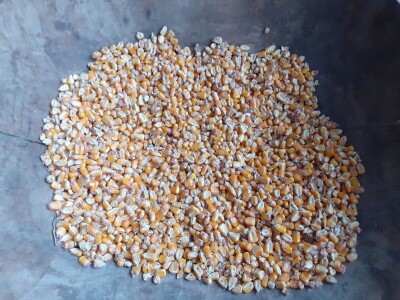 OPG Ivan Prpić OPG Ivan Prpić