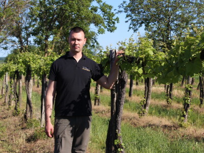 OPG Ivan Zelember Gerstmayer