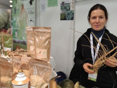 OPG Ivana Košćak, ashwagandha