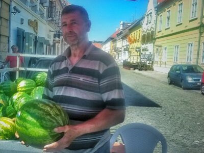 OPG Marija Dolančić