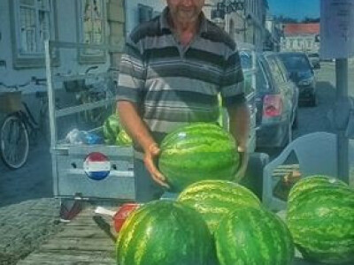 OPG Marija Dolančić