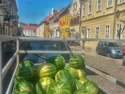 OPG Marija Dolančić