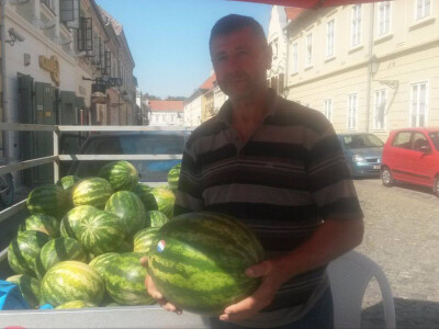 OPG Marija Dolančić