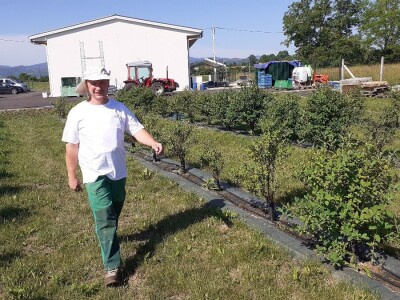 OPG Ivica Babojelić