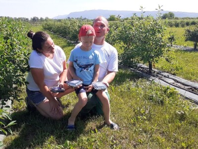 OPG Ivica Babojelić