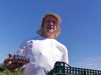 OPG Ivica Babojelić