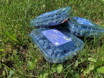 OPG Ivica Babojelić