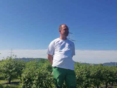 OPG Ivica Babojelić