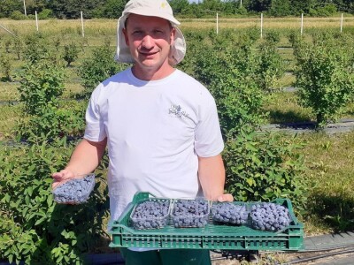 OPG Ivica Babojelić