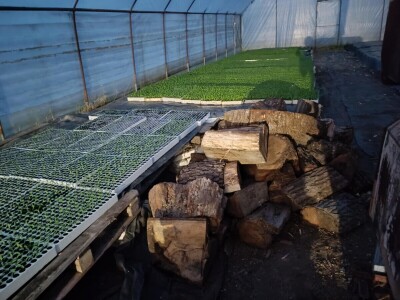 OPG Ivona Andrašić Presečan