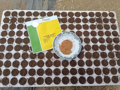 OPG Ivona Andrašić Presečan