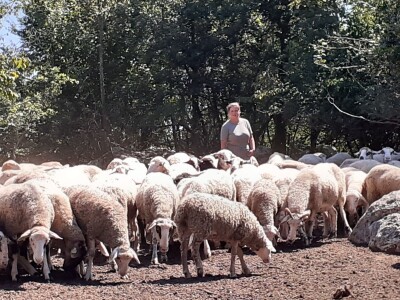 OPG Jadova Sandre Novković Privratcki