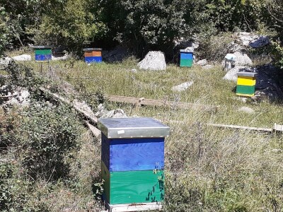 OPG Jadova Sandre Novković Privratcki