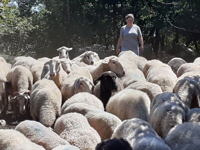 OPG Jadova Sandre Novković Privratcki