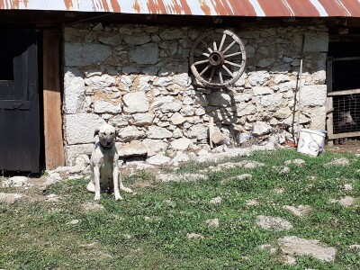 OPG Jadova Sandre Novković Privratcki