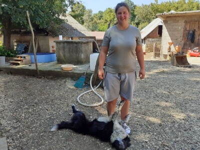 OPG Jadova Sandre Novković Privratcki