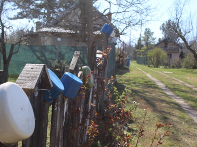 OPG Jakšetić White Bike
