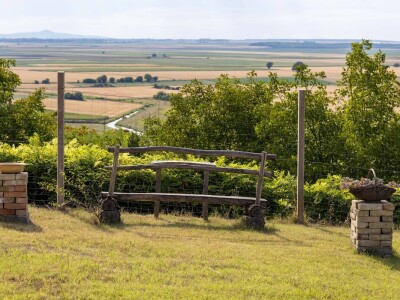 OPG Jakšetić White Bike