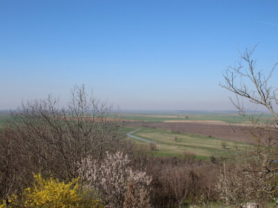 OPG Jakšetić White Bike
