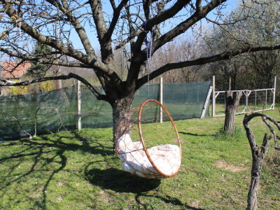OPG Jakšetić White Bike