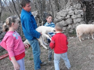 OPG Josip Gršković