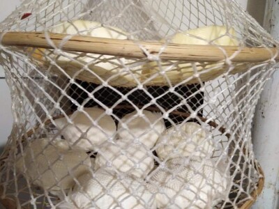 OPG Josip Starešinović