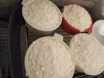 OPG Josip Starešinović