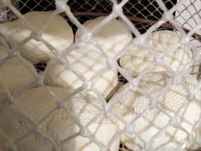 OPG Josip Starešinović