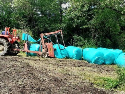 OPG Julijana Pribičević