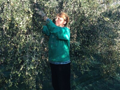 OPG Katija Stančić OPG Katija Stančić