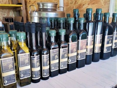 OPG KEŠINOVIĆ IVICA