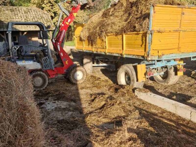 OPG Kišiček Ferdinandovac