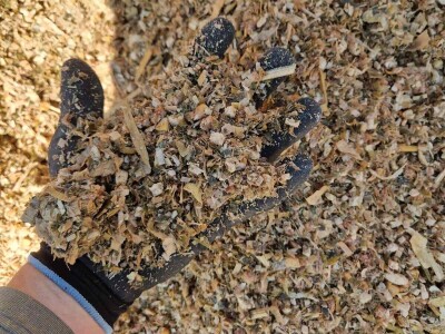 OPG Kišiček Ferdinandovac