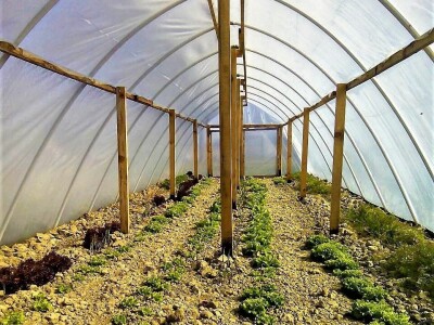 OPG KOCIPER OPG KOCIPER