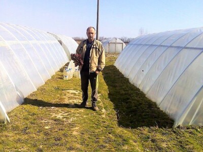 OPG KOCIPER OPG KOCIPER